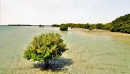 Peninsula