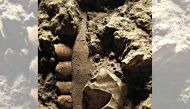 This handout photo courtesy of EurekAlert obtained on February 22, 2023 shows a horse mandibular and a Neronian point appearing on the archeological layer E (Neronian) from Grotte Mandrin. (Photo by Ludovic Slimak / Eurekalert! / AFP) 