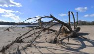 This photograph taken on February 26, 2023, shows the trunk of a fallen tree on the dry riverbed of the Loire river, in Les Rosiers-sur-Loire, near Angers, western France. (Photo by JEAN-FRANCOIS MONIER / AFP)