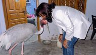 This handout picture taken on March 6, 2023 and received as a courtesy of Mohammad Arif shows Indian farmer Mohammad Arif along with Sarus crane at his residence in Amethi, in India's Uttar Pradesh state. Photo by Courtesy of Mohammad Arif / AFP
