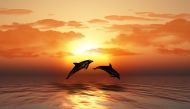 Representative image by kjpargeter on Freepik