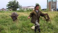 A farmer leads his water buffalo to a safer place in Ilagan town, Isabela province, north of Manila on July 25, 2023, as Typhoon Doksuri heads towards the northern Philippines. Photo by AFP