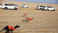 A view of the racing at Sabkhat Marmi in the Sealine Area, yesterday.
