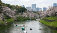 People use boats on Chidorigafuchi, one of the moats around the Imperial Palace, with cherry blossoms in Tokyo on April 4, 2024. (Photo by Kazuhiro NOGI / AFP)

