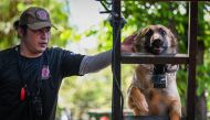 This photo taken on April 7, 2024 shows a trainer guiding a dog during a search and rescue program in Taguig, Metro Manila. Photo by JAM STA ROSA / AFP