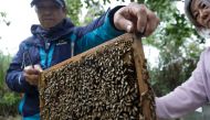 In this picture taken on March 6, 2024, students attend an urban beekeeping class of Yonghe community college in New Taipei City. (Photo by I-Hwa Cheng / AFP) 