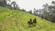 Colombian mounted policemen patrol the Farallones de Cali National Natural Park in the outskirts of Cali, on July 6, 2024, during security operations ahead of the upcomig COP16 Summit. (Photo by JOAQUIN SARMIENTO / AFP)

