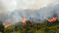 This photograph shows a general view of a forest fire, next to the Krivolak military training ground, near the town of Negotino, on July 17,2024, as several wildfires swept across North Macedonia, which had prompted the government to declare a crisis situation. (Photo by Robert ATANASOVSKI / AFP)

