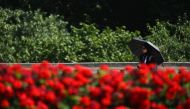 A person shelters from the sun beneath an umbrella as they walk past flowers in bloom, outside Buckingham Palace during hot weather in central London on July 31, 2024. (Photo by Justin Tallis / AFP)