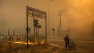 A local resident walks towards fire with a branch to use it to dominate the flames during a wildfire near Penteli, 12 August 2024. (Photo by Angelos TZORTZINIS / AFP)
