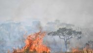 Smoke and flames arise from a forest fire affecting the Brasilia National Park in Brasilia on September 16, 2024. Photo by EVARISTO SA / AFP
