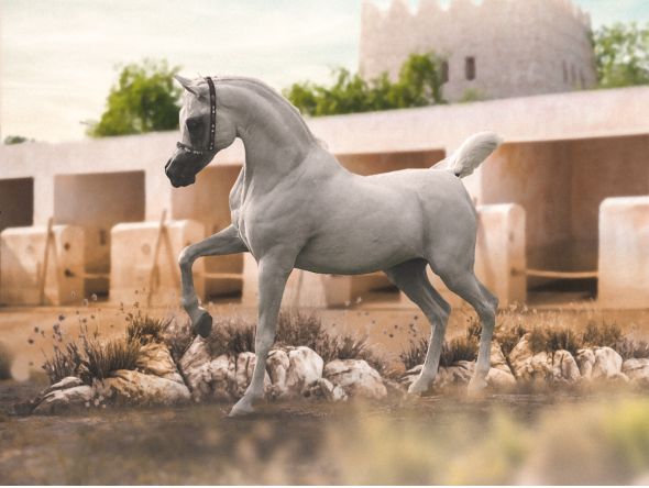 Image representation