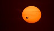 A bird is photographed flying at dawn with the sun in the background in Buenos Aires, on October 1, 2024. (Photo by Luis Robayo / AFP)