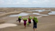Aerial view of riverbank dwellers carrying banana produce over the dry Solimoes riverbed in the Pesqueiro community in Manacapuru, Amazonas state, northern Brazil, on September 30, 2024. (Photo by Michael Dantas / AFP)