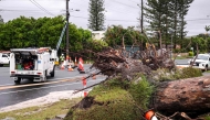 Workers fix electricity wires next to a tree uprooted by strong winds from Cyclone Alfred in the suburb of Elanora on the Gold Coast on March 8, 2025. Cyclone Alfred weakened into a tropical low on March 8 but still threatened to unleash major floods on swollen rivers as it approached the rain and wind-lashed eastern coast of Australia. (Photo by DAVID GRAY / AFP)
