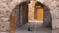 A cat sits in the middle of a street during a general strike demanding an end to the Gaza war, in the old city of Hebron in the Israeli occupied West Bank on April 7, 2025. Photo by HAZEM BADER / AFP.