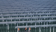 Photo used for representational purposes. Workers install solar panels at the fishing-solar complementary photovoltaic power generation base in Rudong, in eastern China's Jiangsu province on May 14, 2025. Photo by AFP.