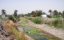 File photo of a dried up stream. 