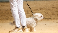 Representational image