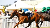 Jockey James McDonald guides Crimson Advocate to victory.