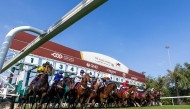 Al Rayyan and Al Uqda racecourses hosted the highly competitive action during the season. 