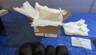 This undated handout image released by District Court for the Western District of New York from the United States Fish and Wildlife Service (NSFWS) shows eastern box turtles intercepted during a border inspection. (Photo by USFWS / AFP)