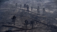 Picture shows a burnt area after a wildfire in the northwestern Spanish village of San Vicente de Leira in Ourense province, on August 19, 2025. (Photo by Miguel Riopa / AFP)
 