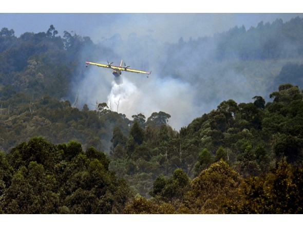 image representation