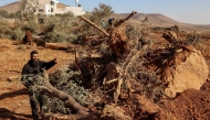 A Palestinian man looks at olive trees reportedly uprooted by Israeli soldiers using a bulldozer in the occupied West Bank village of Al-Mughayyir, north of Ramallah, on August 24, 2025. (Photo by Zain Jaafar / AFP)
