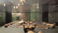 (Files) A representative model of the skeleton 