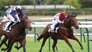 Al Shaqab Racing's Afjan, with Christophe Soumillon in the saddle, competes during the race at ParisLongchamp yesterday. 