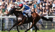Faleh Bughenaim guides The Strikin Viking to victory. PICS: Marc Ruhl