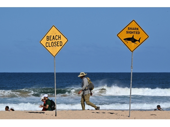 Residents walks along the shoreline as northern Sydney beaches are closed following a suspected shark attack at Long Reef Beach on September 6, 2025. (Photo by Saeed Khan / AFP)