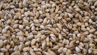 This picture taken on August 24, 2025, shows dried pistachios in the Greek island of Aegina. Photo by Aris MESSINIS / AFP