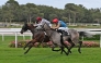 Al Wakrah and jockey Olivier d’Andigné on their way to win. PIC: Robert Polin