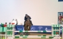 Hamad Nasser Al Qadi dominated the individual Bronze Tour, securing first and third place on Natalie and Deep Water.