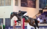 Saudi rider Khalid Al-Eid astride Q-Layen in action at Qatar Equestrian Federation’s indoor arena yesterday.