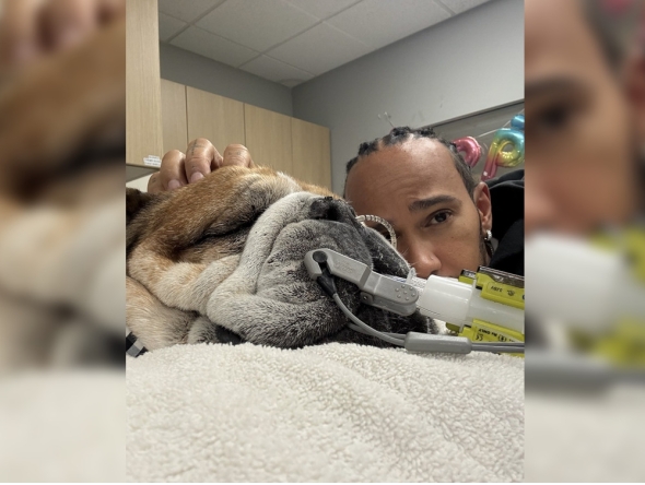 Pic from Lewis Hamilton's official X account