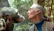 File: Jane Goodall, the world's foremost authority on chimpanzees, communicates with chimpanzee Nana, on June 6, 2004 at the zoo of Magdeburg in eastern Germany. (Photo by Jens Schlueter / DDP / AFP)
