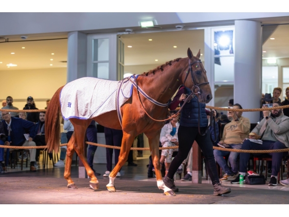 The QREC-sponsored Qatar Prix de l’Arc de Triomphe weekend draws the world’s racing eyes to Paris.