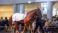 The QREC-sponsored Qatar Prix de l’Arc de Triomphe weekend draws the world’s racing eyes to Paris.