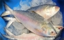 Hilsa - Bangladesh's national fish and a much-loved delicacy / Image: social media
