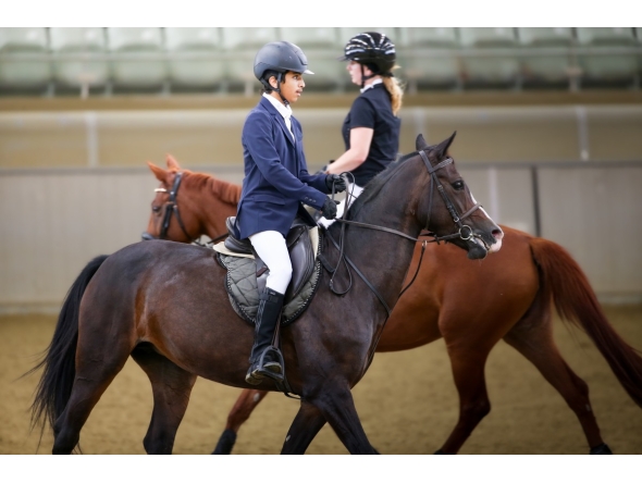 The Training Show is designed as a vital stage that empowers riders to gain practical experience in a safe and motivating competitive environment.