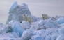 Polar bears are listed as a vulnerable species by the World Wildlife Foundation because of various threats including climate change and the wildlife trade. (Photo by Bonnie Jo Mount/The Washington Post)