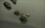 This aerial view taken during a Mexican Navy flyover shows a flooded house after heavy rains in Poza Rica, Veracruz state, Mexico on October 11, 2025. (Photo by Hector Quintanar / AFP)
 