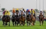 Today’s opening card for includes eight races, starting at 4:30pm, with the main event the Al Gharaiyah Cup race, the eighth race, scheduled for 8:30pm.
