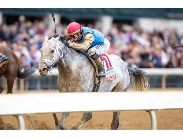 Representational image of a rider and his horse