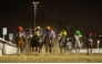 Action during the 12th Al Rayyan Meeting at Al Rayyan Racecourse yesterday.