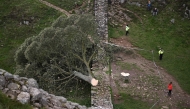 (Files) Police officers stand on duty at the edge of a cordon around the felled Sycamore Gap tree, along Hadrian's Wall, near Hexham, northern England on September 28, 2023. (Photo by Oli Scarff / AFP)