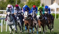 Action during last year's Qatar National Day Trophy and the Late Sheikh Jassim Bin Mohammed Bin Thani Trophy race meeting. PIC: JUHAIM/QREC 